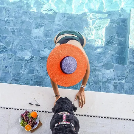 Lavanda & Maslina Two Pools - Near Sea * 尼亚卢卡